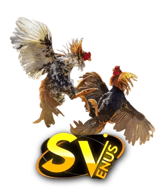 SVENUS