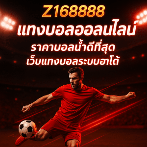 ราคาบอลไหล วันนี้
