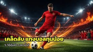 เคล็ดลับ แทงบอลทุนน้อย